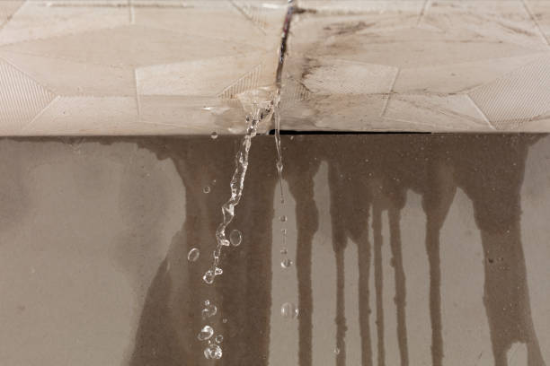 Professional Structural Drying technician working in Salem, WI